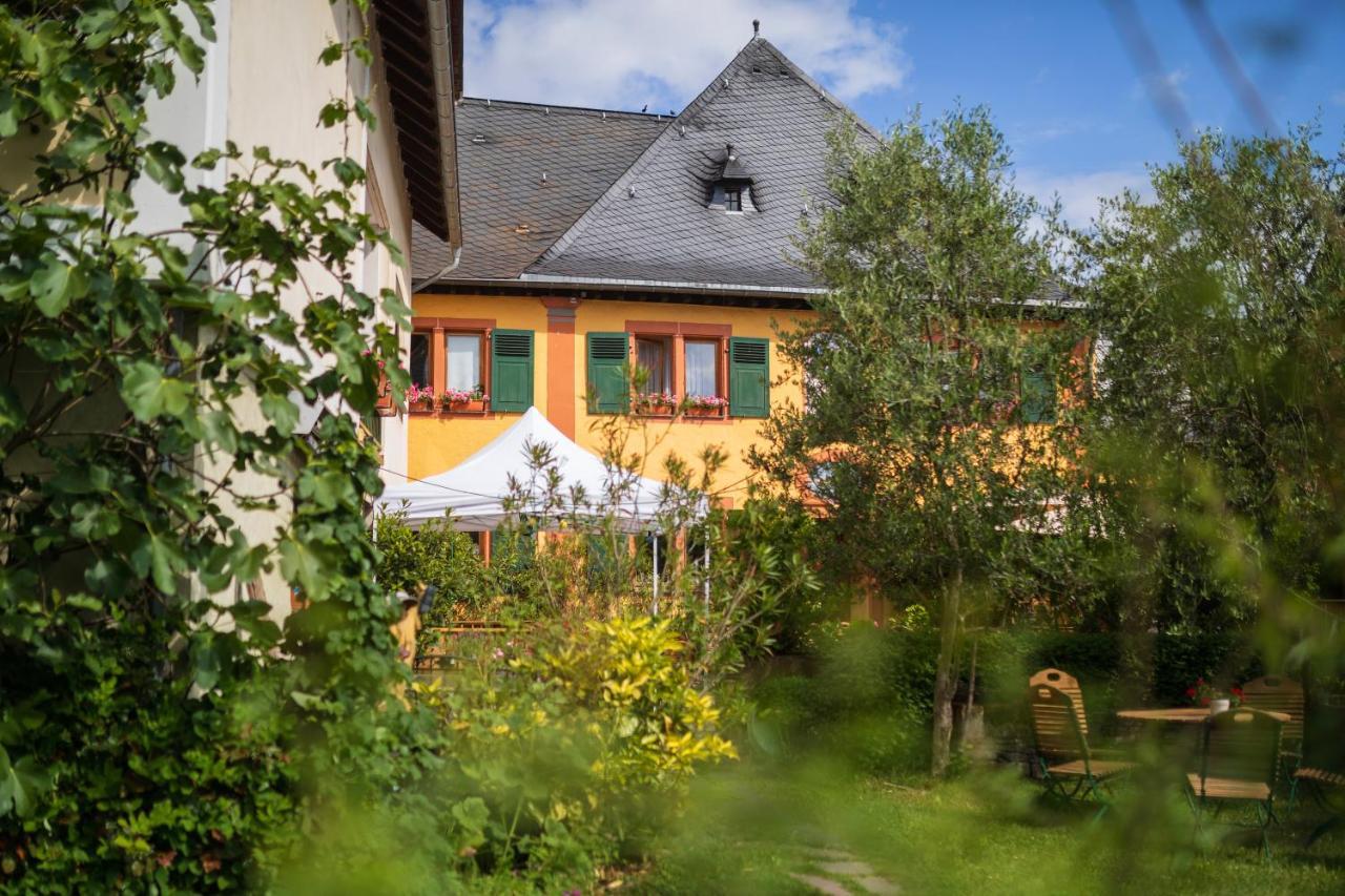 Bio-Weingut Staffelter Hof Vendégház Kröv Kültér fotó