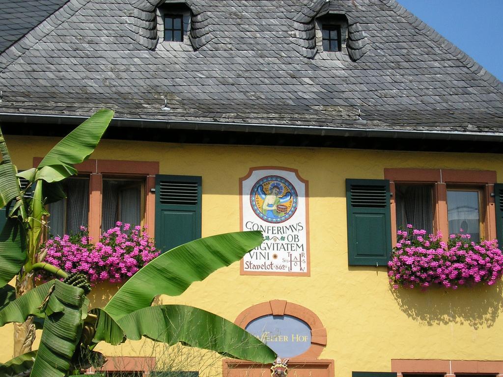 Bio-Weingut Staffelter Hof Vendégház Kröv Kültér fotó